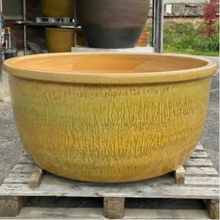 黄伊羅保